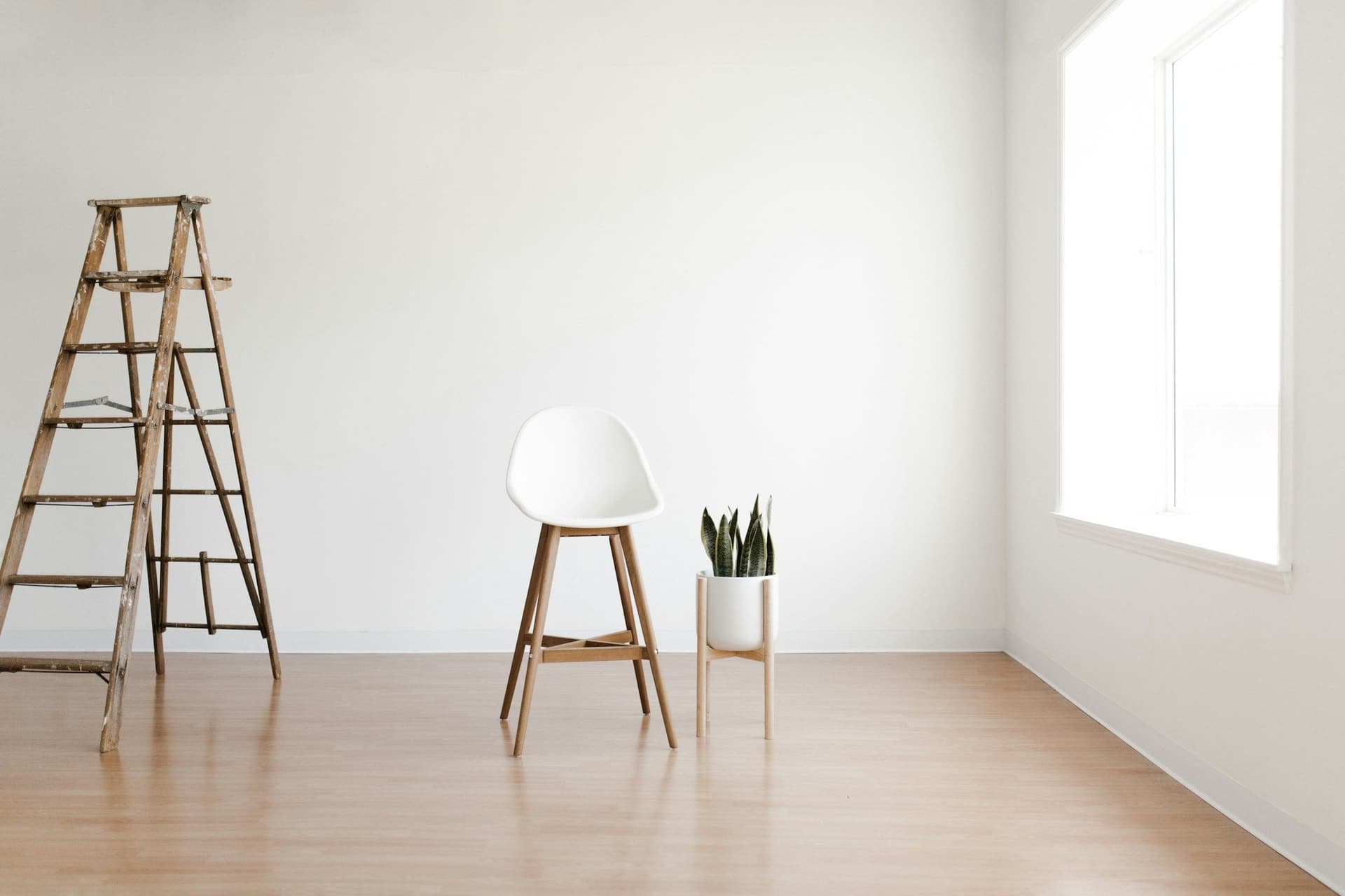 Empty bright room with white walls, a wooden stepladder, a white stool and a snake plant