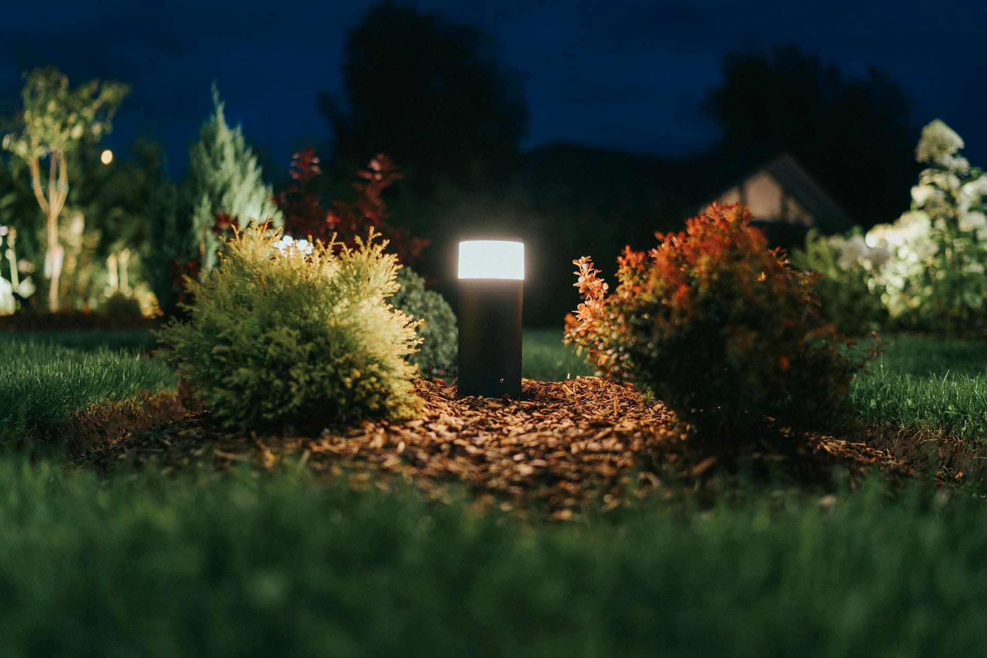 Low bollard light glowing among shrubs in a garden bed at dusk