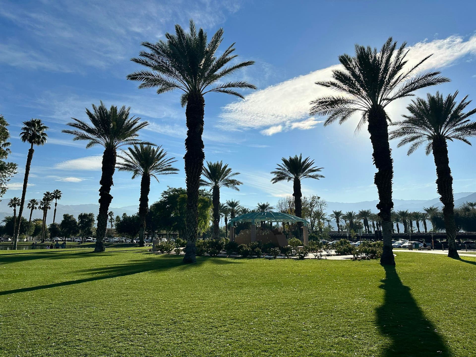 Tall palm trees casting long shadows across a trimmed lawn under a blue sky with clouds