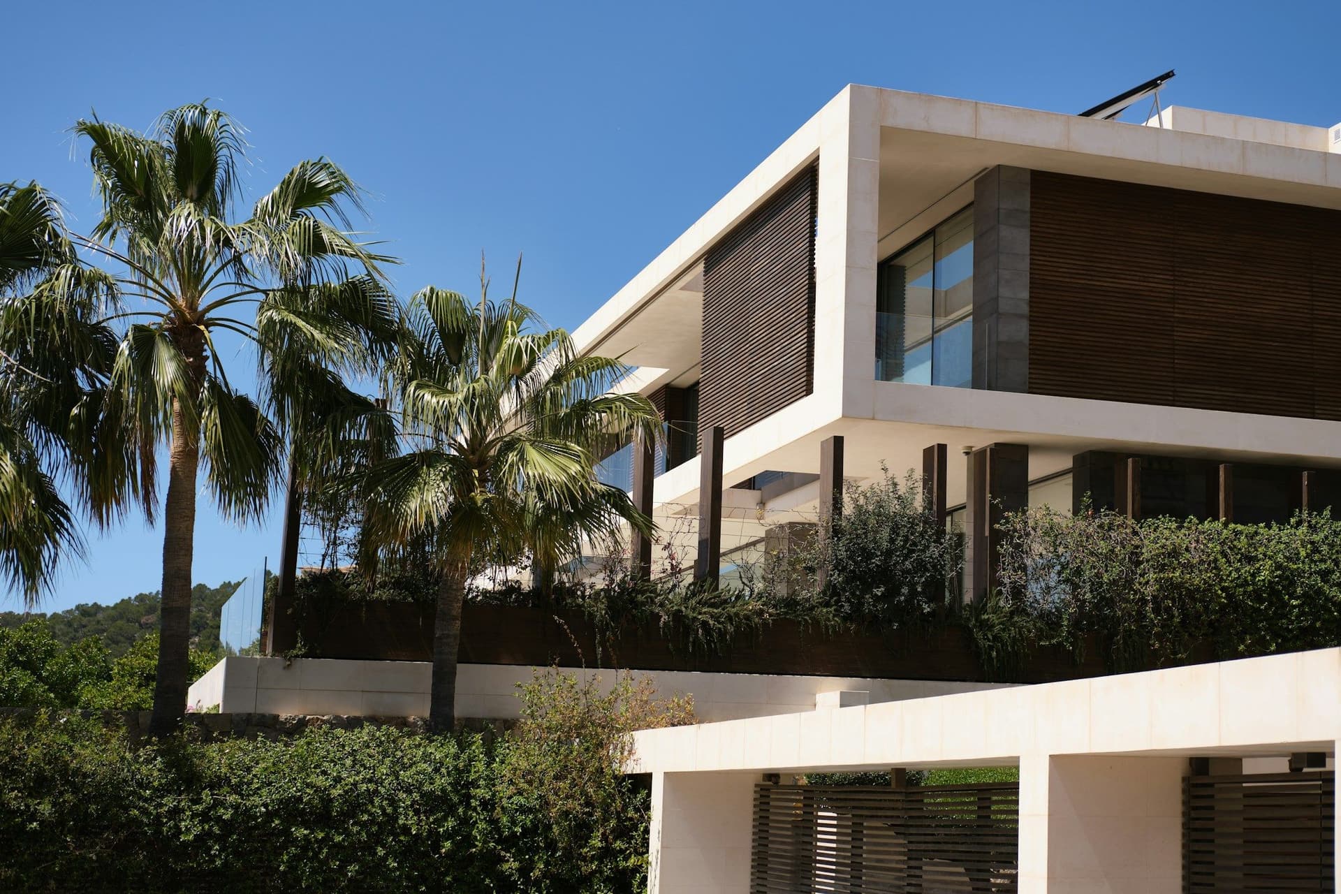 Modern white villa with wood-clad panels and tall palm trees under a clear blue sky